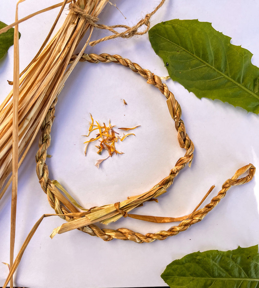 *New* Wednesday October 22nd - Fibres, Food & Medicine – Getting to Know Nettle + More